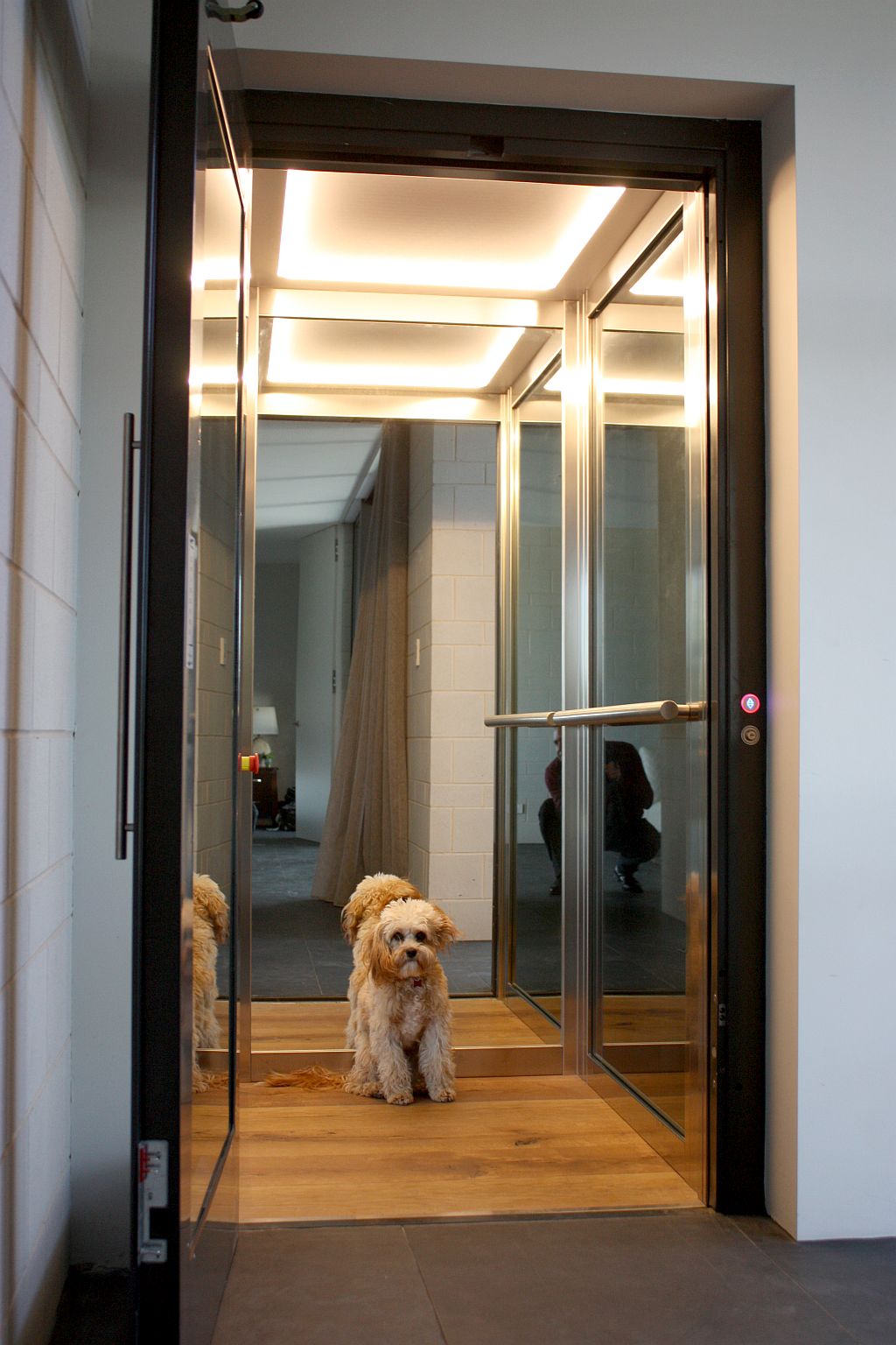 A Slide With An Elevator Built Specifically For Dogs
